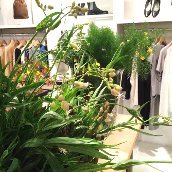 2015/4/17 �v�X�̖�ؓ��ׂł��I