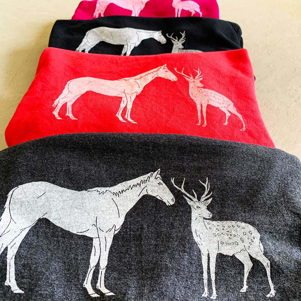 2019/4/21 �n���I