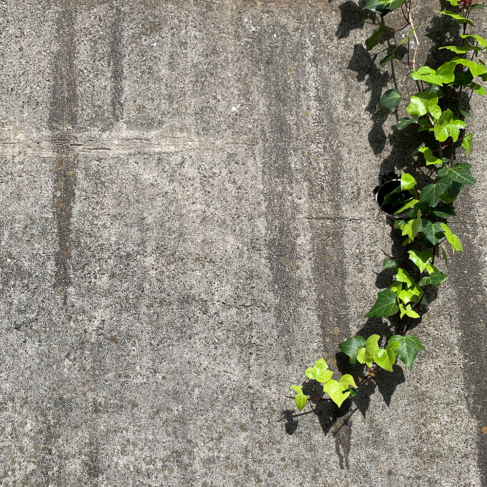 2021/6/21 �܂񉄖h�~�d�_�[�u�̗v���ɂ�