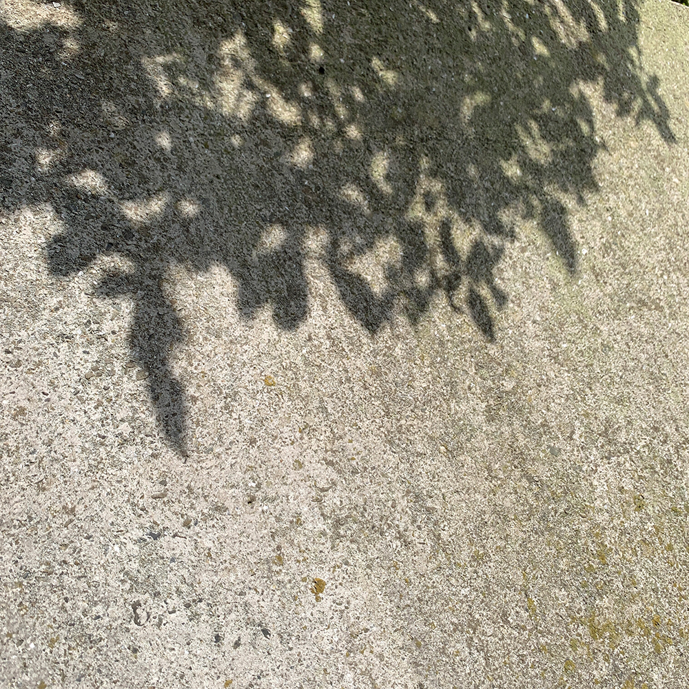 2021/7/11 �V�^�R���i�̊������o�E���h�h�~�΍�ɂ�