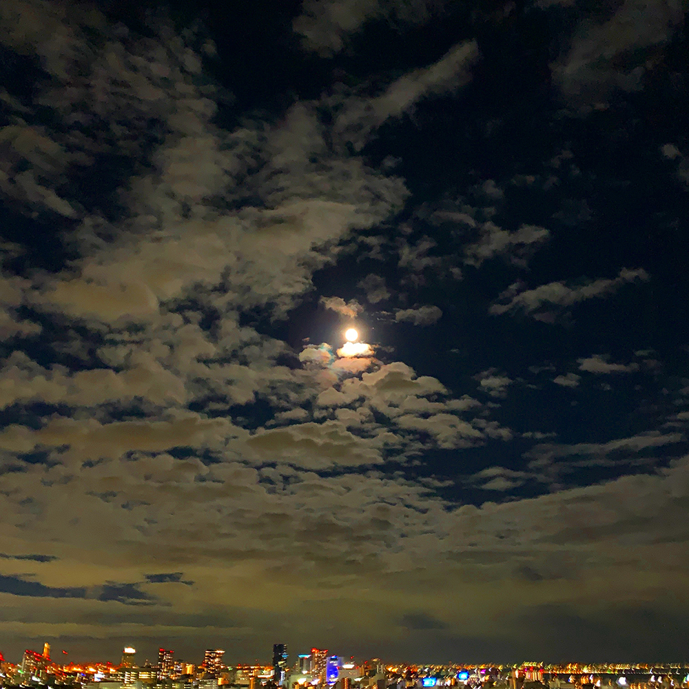 2021/9/30 �ĊJ���܂��I