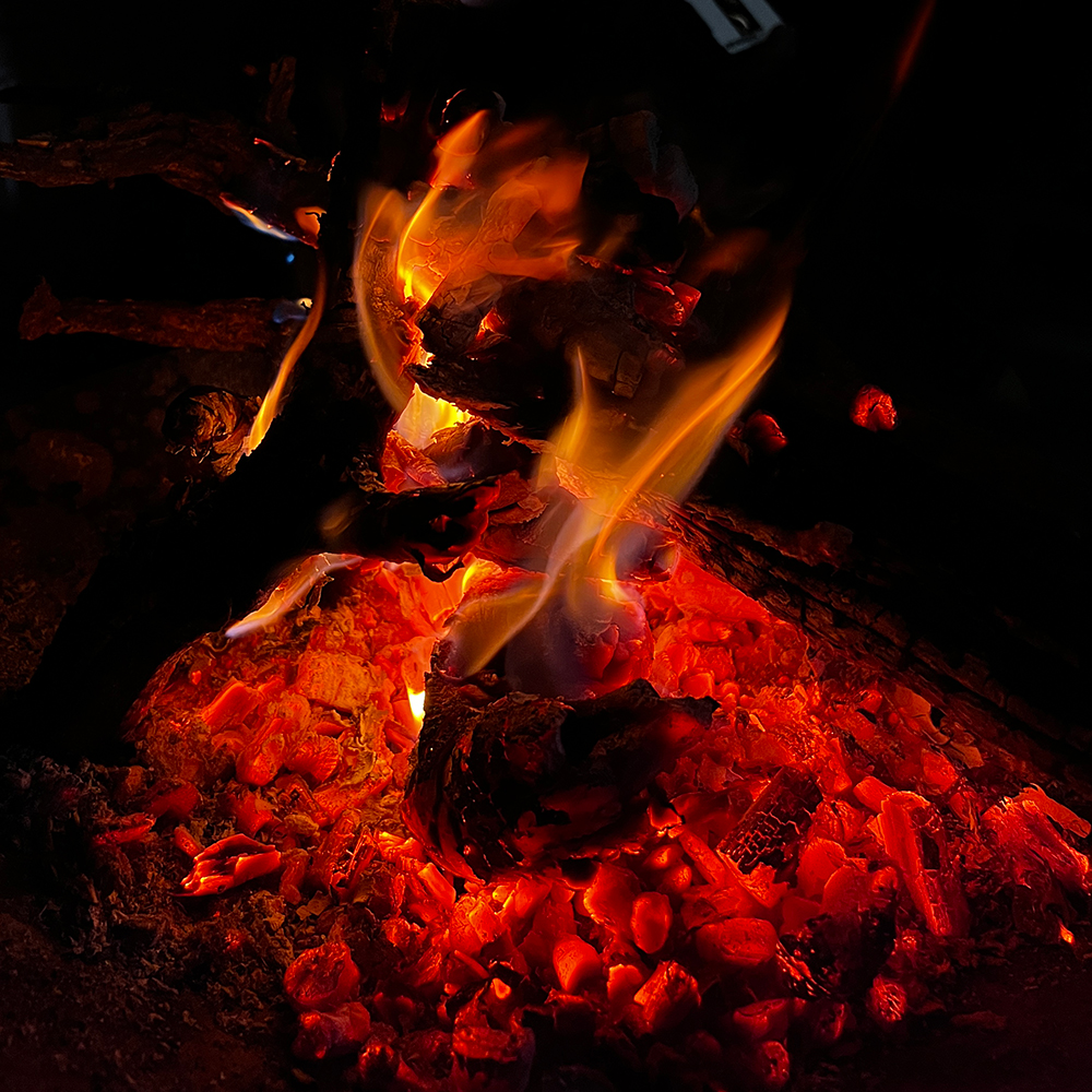 2022/3/21 �ĊJ�ł��I