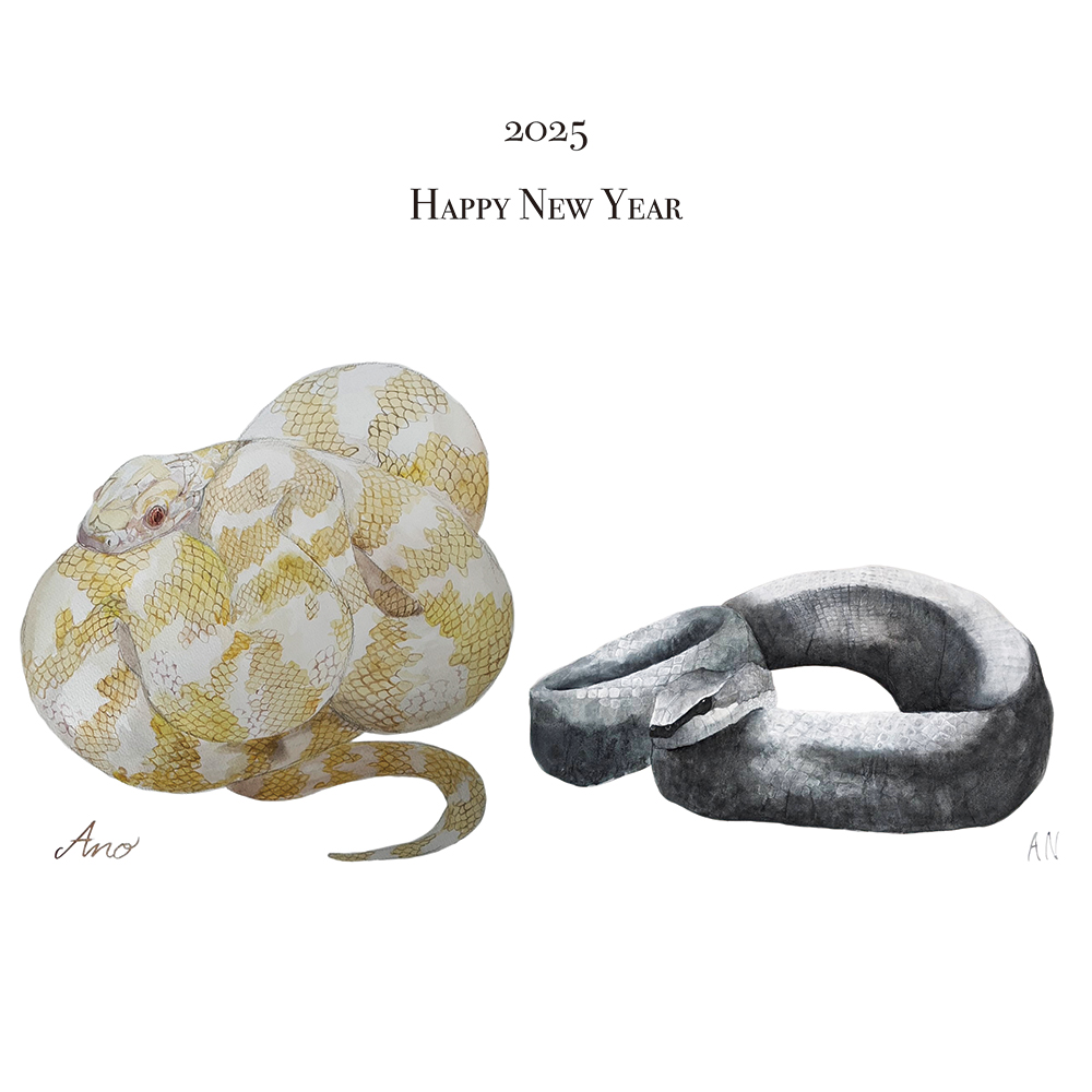 2025/1/13 �{�N���ǂ�����낵�����肢���܂�